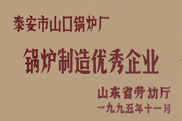 锅炉制造优秀企业