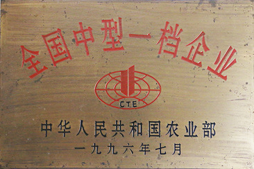 全国中型一档企业