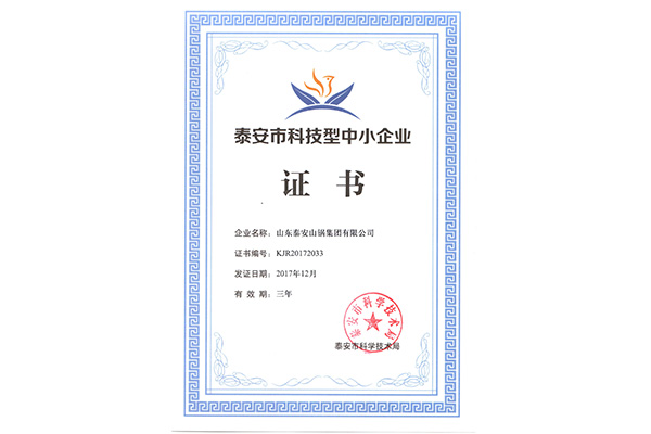 泰安市科技型中小企业证书2017年(图1)